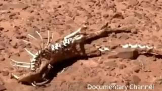 Origin Of Nuclear Power Plant [Documentary Channel 2017]