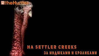  theHunter Classic  Settler Creeks  Охота на индюка и кролика 