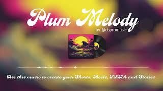 Plum Melody  - Lofi Piano Music by @DSPROMUSIC #lofi #chillmusic  #relaxingmusic