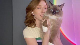 A Little Ramble/Update (ft. my cat Cleo) | Soft Spoken ASMR