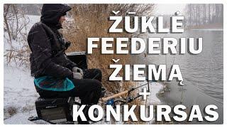 Žvejyba Feederiu Šešupėje Žiemą +Konkursas | Fishinginside TV #1