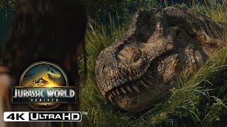 T.Rex Attacks The Family Scene | Jurassic World Rebirth - HD 4DKK