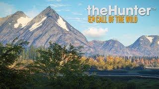 Hunting Bears with Buggs | Thehunter: Call of the Wild Live!