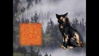 Иду в Солнце? Или же нет?/CatWar