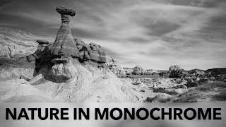 Nature in Monochrome - eBook and Book Launch!