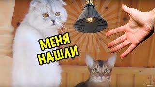 НОЧНЫЕ ПРЯТКИ В НАШЕМ ДОМЕ! HIDE AND SEEK IN MY HOUSE 2