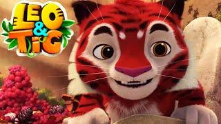 LEO and TIG   Harvest Moon Festival — Episodes collection  Moolt Kids Toons Happy Bear