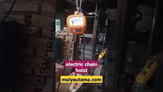 electric hoist kerekan 1 ton