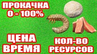 Прокачка НАЖИВКИ. Все что вы хотели СПРОСИТЬ... ● Русская Рыбалка 4 | РР4