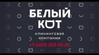 Клининговая компания "Белый Кот", имиджевый фильм