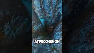 Почему за редкоземельные элементы идёт глобальная борьба #шахта #технологии