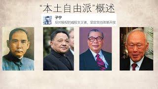 “本土自由派”概述——民族主义自由派、建制改革派、改革开放、三民主义、新加坡模式、威权渐进民主——刘少奇、邓小平、赵紫阳、王志安、高晓松、袁腾飞