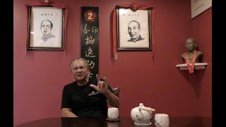 Ving Tsun Grandmaster Sifu Pete Interview Pt 2