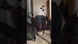 THE Spider  CAME TO MY HOUSE 3 AM #Shorts