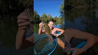 She swam into the water to catch my snagged smallmouth bass - Full Video #swimbaits #riverfishing