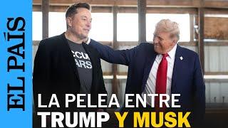 DONALD TRUMP vs ELON MUSK: el presidente y el empresario pelean en redes sociales | EL PAÍS
