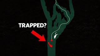 They Tried to Explore The Cave Illegally | Cave Exploring Gone Wrong