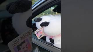 Puppy was pulled over #furry #furries #fursuit #viral #tiktok #fyp #shorts #antizoo