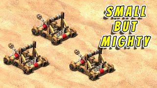 MbL vs Nicov | Britons vs Goths | Age of Empires 2