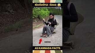 Amazing Wooden Vehicle Fact | #kannada #facts #karnataka #amazing #youtubeshorts #trendingshorts