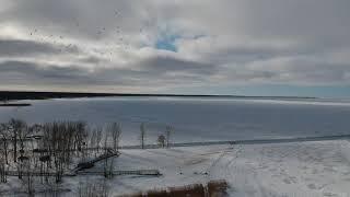 Caseville, Michigan - Breakwall Drone Shots!