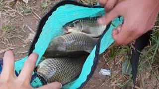 #fishing  Fishing at Ram Pyrthai (near Syntu Ksiar, Jowai Meghalaya )PART-1