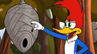 Woody Crashes Into A Beehive | 1 Hour of Woody Woodpecker Full Episodes