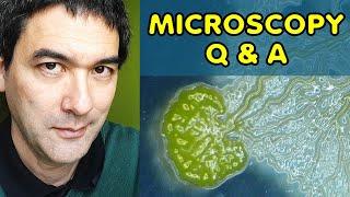 How can microbes talk to each other? | MHPodcast 040