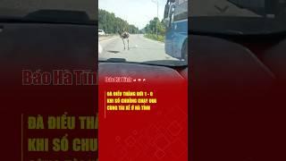 Chúc mừng cụ Đà Điểu đã thắng đời 1 - 0 khi chạy đua cùng tài xế