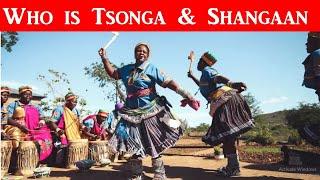 SA HERITAGE: Tsonga & Shangaan, Why they both don't have kings in SA, what's the difference?