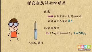 10探究金属活动性顺序  金属和金属材料   初中化学