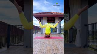 Split in headstand #split #headstand #yogaurmi #yoga #yogateacher #yogawithurmipandya