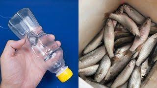 How to Make a Fish Trap with Plastic Bottle