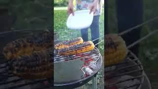 Barbecue at a lake in Germany 