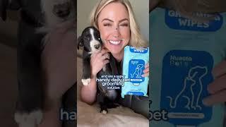 Guilt-free Clean for your Pet - Bath Replacement Dog Wipes