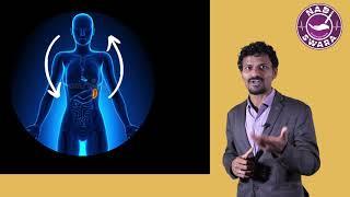 NADISWARA | Pulse Diagnosis Report Interpretation | Spleen Yang Excess