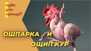 Как быстро и просто ощипать кур, ошпарка перед ощипом, правильный ощип кур