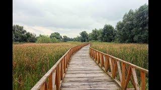 Naturpark Kopački rit - Bioreservat im Osten von Kroatien