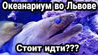 Куда пойти во Львове? / Обзор океанариума во Львове