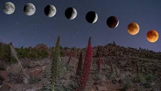 Mondfinsternis / Lunar Eclipse / Eclipse Lunar - May 16th, 2022 - Teide National Park, Tenerife