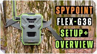 Spypoint FLEX G36 Cell Cam Overview | It's THAT Easy!