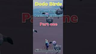 Dodo birds | How they became extinct Part 1