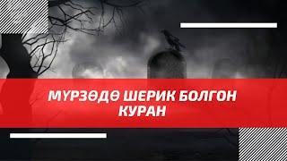 Эч нерсе маанисиз болгондо КУРАН шерик болот! | шейх Тариэл Абжалбеков