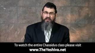 TheYeshiva.net - Torah Or Beshalach - Feminine and Masculine Horses
