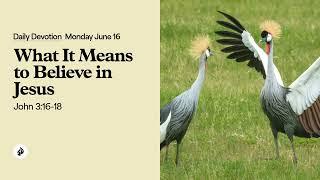 What It Means to Believe in Jesus – Daily Devotional