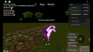 Показываю новейшего геймпас тигра пони в horse world (roblox)!!!