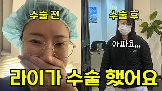 라이가 큰 수술을 했어요... 대신 브롤스타즈 트로피 10만개 고수님이 라이 트로피 쌓아주러왔다!! 에드거 진짜 잘해 대박~!! [급식걸즈라이]