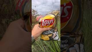 Новый вкус от Lays #lays #shots