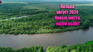 Лозьва август 2024/Новые места, ищем рыбу!