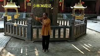 Traditional Shaolin kungfu  - Shaolin India